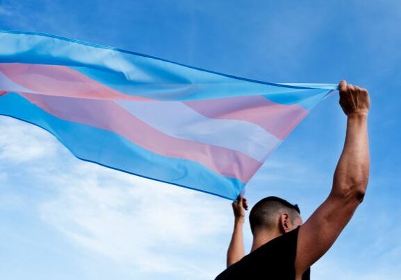 A person appears in the bottom left corner of the picture. The person is holding a trans flag above their head. The flag is blowing in the wind